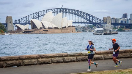 Bondi‑to‑Manly Ultra runners on harbourside path near Mrs From Mrs .Macquarie