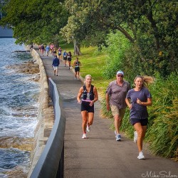 Bondi‑to‑Manly Ultra runners and walkers on harbourside path near Woolloomooloo, Sydney, with waves lapping against stone seawall and trees lining the route. [3330]