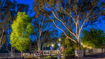 Echuca Wharf at dusk with illuminated trees, street lamps, and visitors overlooking the moored Australian Star paddle steamer on the Murray River.
