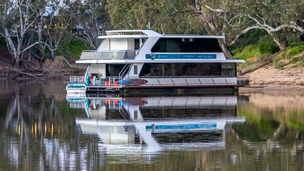 Modern two‑storey houseboat named Echuca Luxury Houseboats moored on calm Murray River water, surrounded by gum trees, with a perfect near‑dusk reflection. 