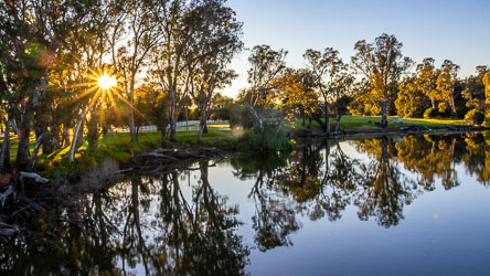 Smooth river waters at dawn enabling a perfect reflection of river gums, with the rising sun as a sunburst effect.