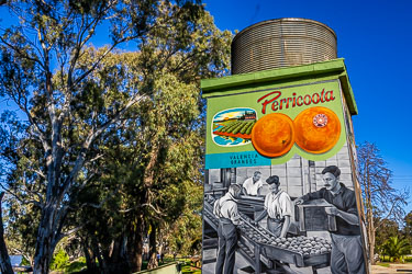 Elevated water tank with a Perricoota mural featuring Valencia Oranges covering its structure.