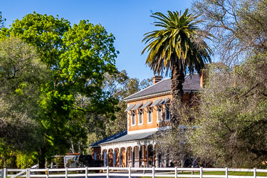 Historic Perricoota Station homestead with veranda and palm tree amid lush riverine vegetation.
