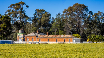 Historic brick staff quarters and mural water tank at Perricoota Station viewed across a barley field.
