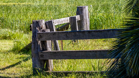 Close‑up of weathered timber fence posts and rails in sunlit grass at Perricoota Station.
