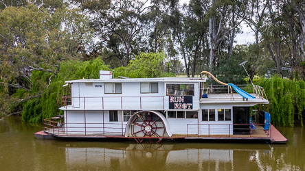 White two‑storey paddlewheel houseboat named Run Riot moored on the Murray River, featuring a blue water slide, red trim, and surrounding gum trees reflected in calm brown water.