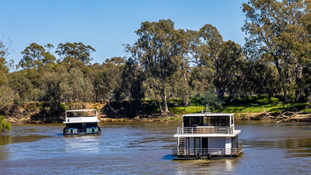 Two modern houseboats passing on the Murray River under clear blue sky, surrounded by gum trees and grassy banks, with calm water reflecting the boats and landscape.