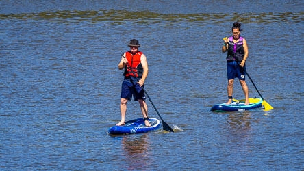 Man and woman stand‑up paddleboarding on the Murray River, wearing life vests and shorts, moving smoothly across calm water under bright sunlight.