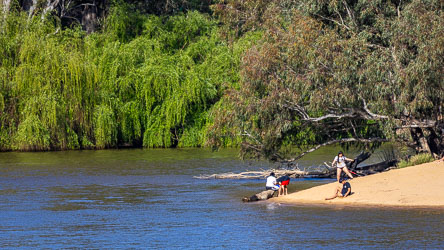Children playing on a sandy riverbank beside the Murray River, with lush green trees and calm water in the background.