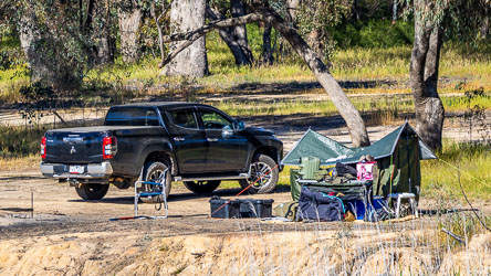 Basic camping setup beside a dark pickup truck under gum trees near the Murray River, with tarp shelter, chairs, and gear scattered on sandy ground.