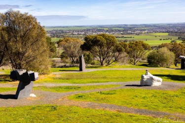 Overlooking the Barossa Sculpture Park to Tanunda, maybe 2km away. [4475]