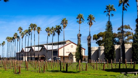 Chateau Dorrien, bought by the Martin family from the legendary winemaking Seppelts in 1984, sports vines, palms and silos. [4493]