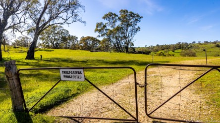 This Trespassers Prosecuted sign shows that not everyone welcomes visitors in the Barossa. [4489]