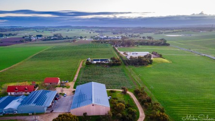 Aerial view of the Barossa western ridge looking over Tscharke Wines towards Laughing Jack Wines. [0022]