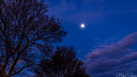 The sky is the deep blue of after-sunset, the and moon is well up over the Barossa Valley. [4605]