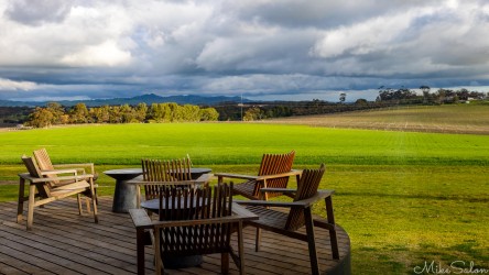 From this deck at the Louise, you can sip wine and enjoy the view. More than grapes are grown in the Barossa. This green field may be barley. [4447]