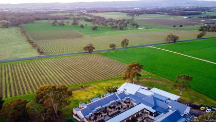 The restaurant and suites at The Louise enjoy beautiful views of grape vines and other crops grown next door. [0007]