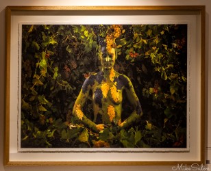 A very Barossa portrait, on display at The Louise, is `Grapes and Butterflies` by Emma Hack. [4470]