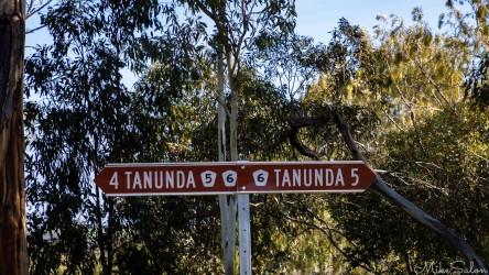 Signpost at T-Intersection showing way to Tanunda in both directions. [4491]