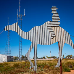 Part of an Afgan Camel Train depicted in corrugated iron at the entry to Birdsville. [1057]