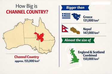 This infographic was created collaboratively using Microsoft Copilot’s AI‑generated design and manual cartographic correction. The initial render exaggerated the Channel Country’s footprint relative to Australia, reflecting current limitations in AI spatial scaling. The final version was refined in Photoshop by me to match the official IBRA boundary and adjusted for accurate comparative proportions. [ryGr]