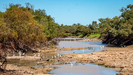 After being worried about missing Cuttaburra Crossing, King Creek Crossing proved to be a splendid alternative. [1084]