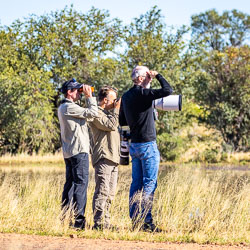 Everyone straining to get a view of a bird spotted from the road. [9072]