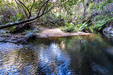A delightful waterhole, good for cooling off, at Walls Cave. [6091]
