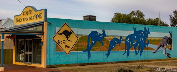 Kangooroo mural on the side of a hairdressing salon in Broken hill. [3090]