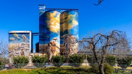 Painted silos at Murrumburrah by artist Heesco Khosnaran, depicting regional heritage scenes across the entire surface. [5180]