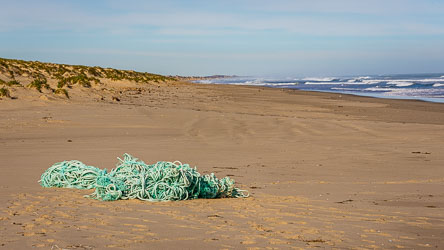 Coorong Beach stretches forever to the east. [1769]