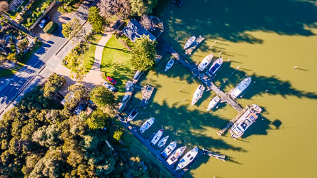 Tiny but quaint Birks Harbour Marina, with the Boatshed hidden in the trees, top centre. [0182]