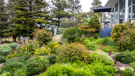 Very attractive garden at a Wine Bar at Goolwa Wharf. [2163]