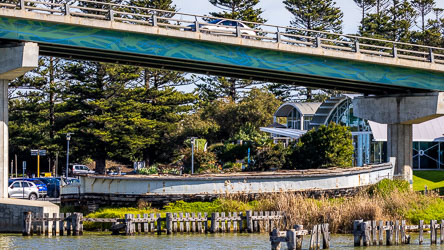 Barge Dart, built in 1912, was used for lock building along this part of the Murray. Now in its final resting place under the Hindmarsh Island Bridge.