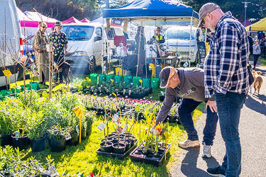 Nursery outlet at the Goolwa Market. [2010]