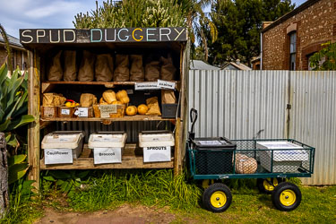 Local produce for sale at this outlet in Langhorne Creek. [2199]