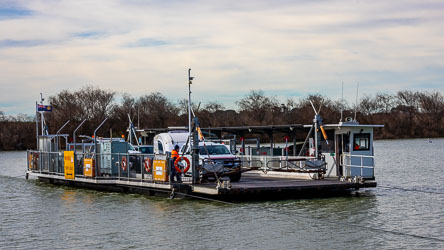 The car ferry at Wellington works 24/7 to carry vehicles across the Murray River. This part of the river is 70km up from the Mouth, but was tidal before the barrages went in. [2202]