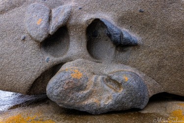 Detail of a rock formation looking like a pig's cartoon face. [3499]