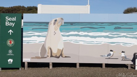 Seal Bay entrance sign with one sea lion and the beach in the background. [3606]