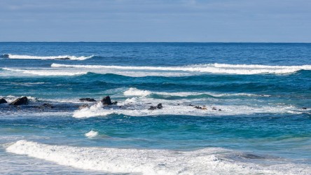 Rough surf at a beach. [3635]