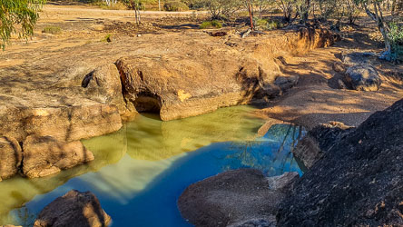 Small pond of captured water must be welcomed by local critters. It's near Craggs Bowzer, an old fuel pump site. [1106]