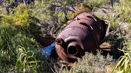Large rusted cylindrical boiler lying among vegetation.