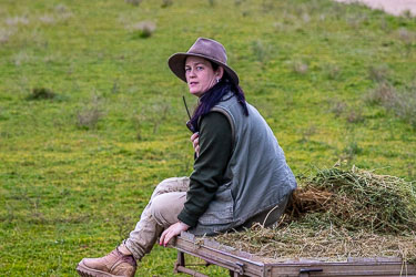 A keeper waits patiently with radio and hay, coaxing the hippos toward their feed with quiet authority — and a handful of incentive. [2547]