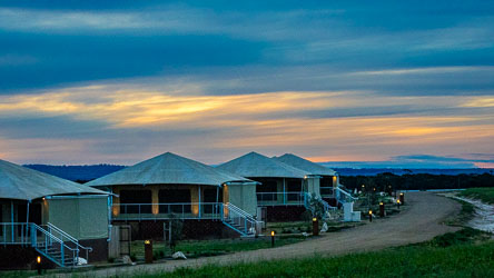 As the last glow fades beyond the plains, the lodge lights flicker on — a quiet rhythm between wilderness and comfort. The evening air carries the hush of the savannah, inviting one last look before night settles in. [2224]