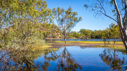 Our guess is that the water level in Lake Moondarra is quite high, but regardless, it makes for an extremely pretty view around the edges. [0839]