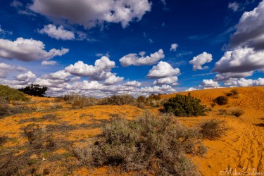 Close view of orange sand dunes with sparse vegetation and dramatic cloudscape.