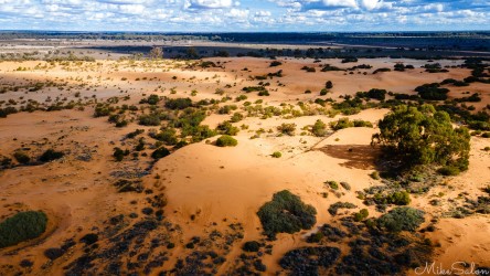Aerial view showing boundary between orange dunes and surrounding terrain.