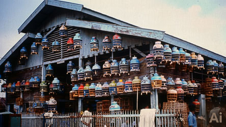 Colorful birdcages hanging on a wooden market building in Jakarta, with people walking below.