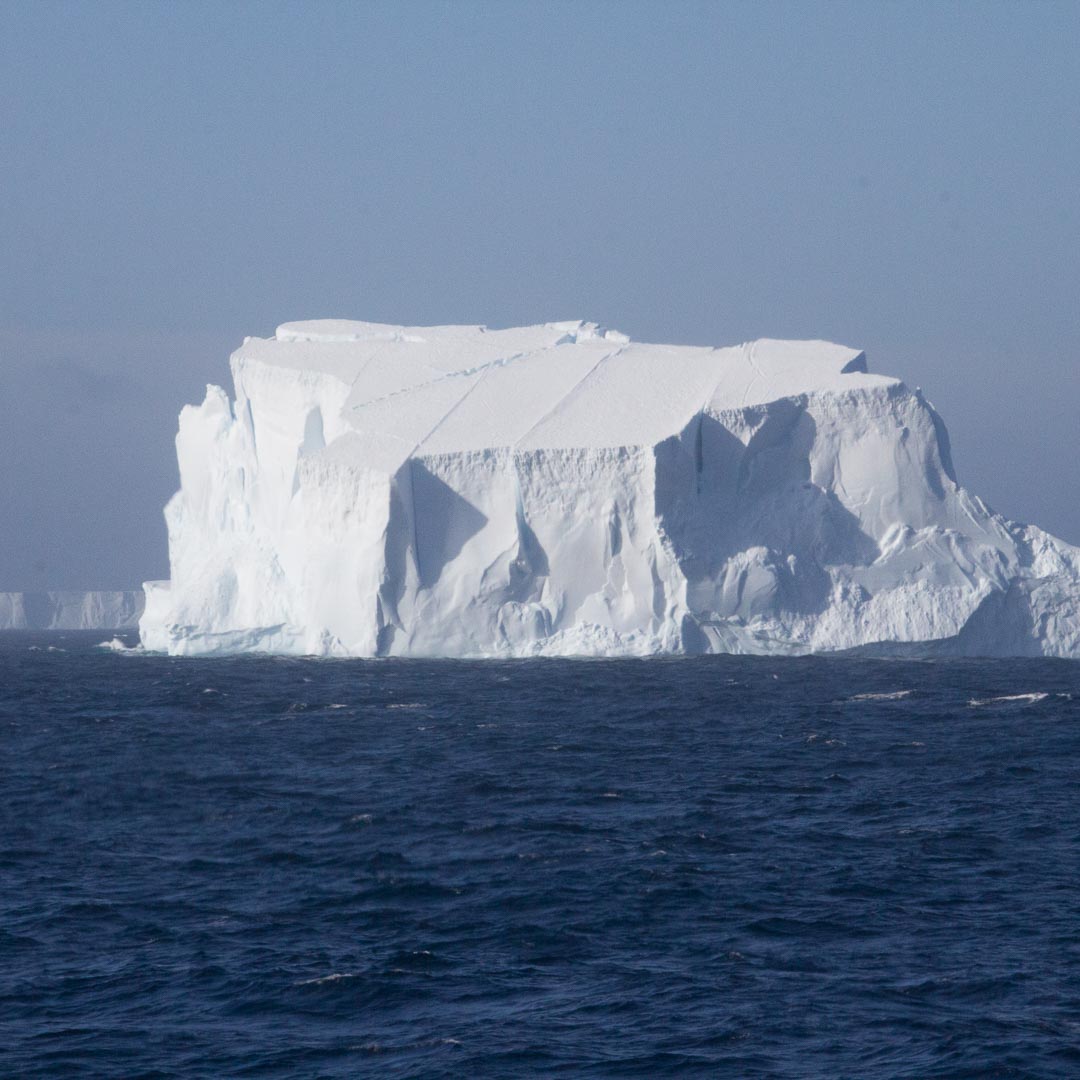 Click here for `Antarctica 2016, <small>Travel Blog</small>` page...