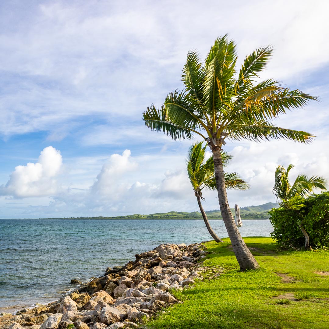Click here for `Fiji 2024, <small>Travel Blog</small>` page...